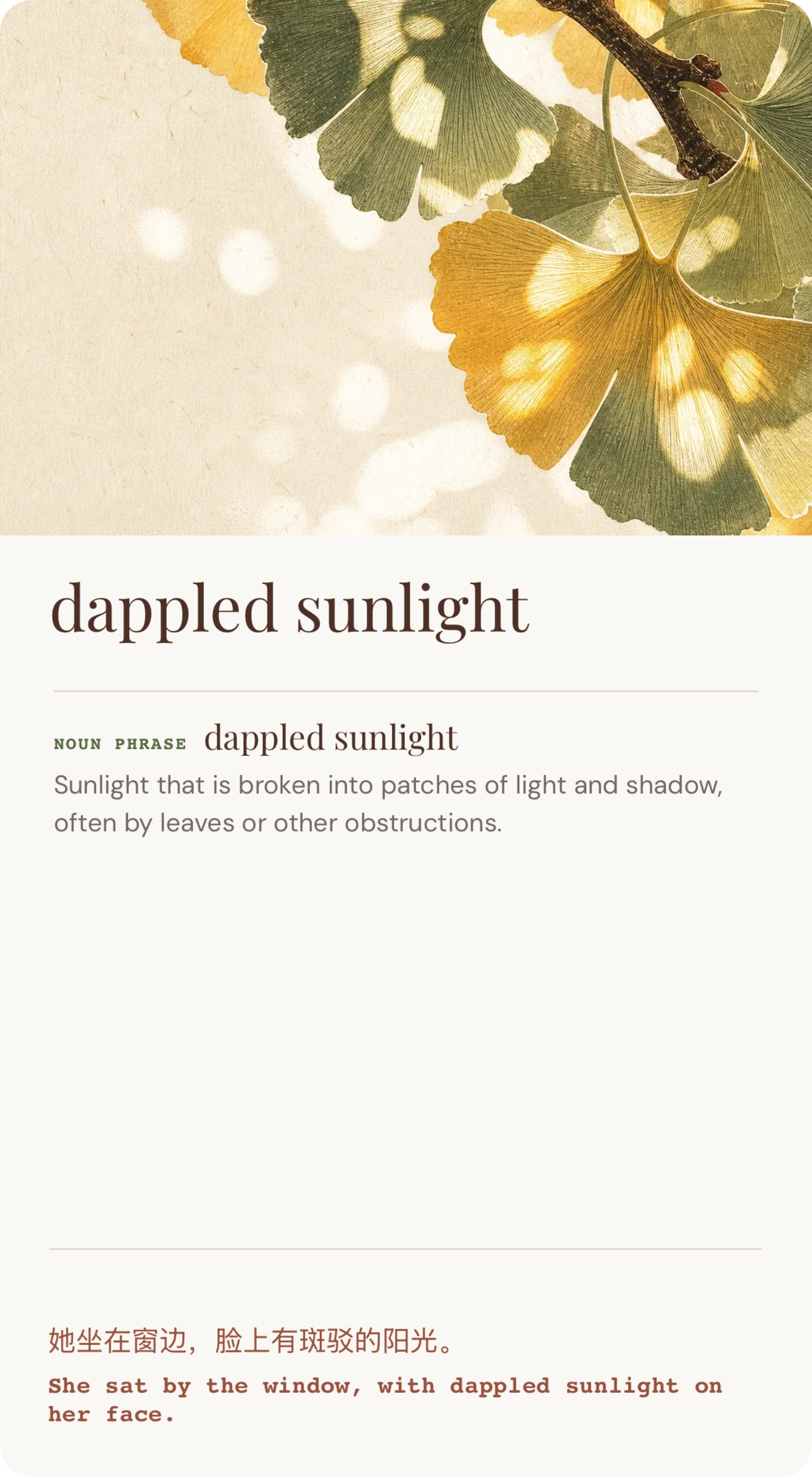 Back of the Misu Sunlight card: dappled sunlight, illustrated with green and gold ginkgo leaves. Sunlight broken into patches of light and shadow. Example: She sat by the window, with dappled sunlight on her face.